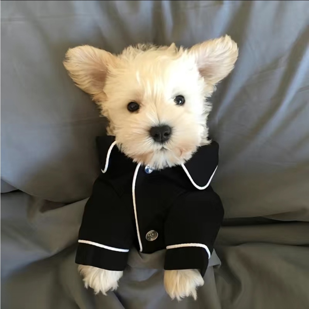 Black pet Jammie's size small